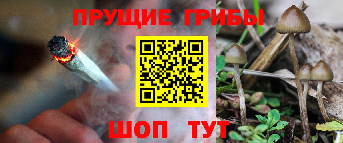 Канаш  Галлюциногенные грибы мицелий  Вход с VPN  Псилоцибиновые грибы прущие грибы 